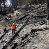 Incendie de forêt à Bitsch dans le Haut-Valais : ici le 28 juillet 2023.